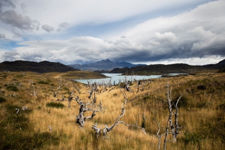 National Park (Patagonia & Atacama)