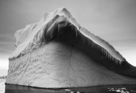 Shark Ice, Antartica, 2012
